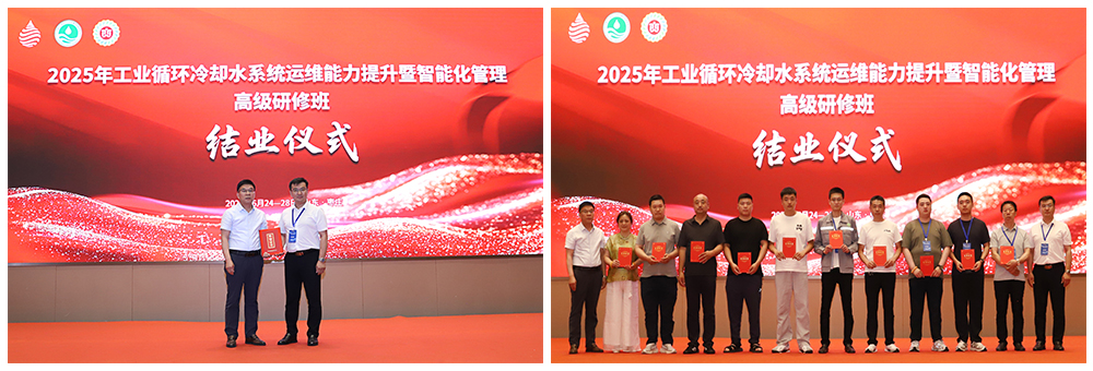 1751592086656781.jpg 4.jpg